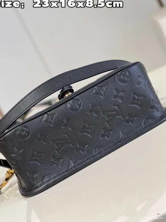First bag ru Diane VUITTON LOUIS Nano 0810